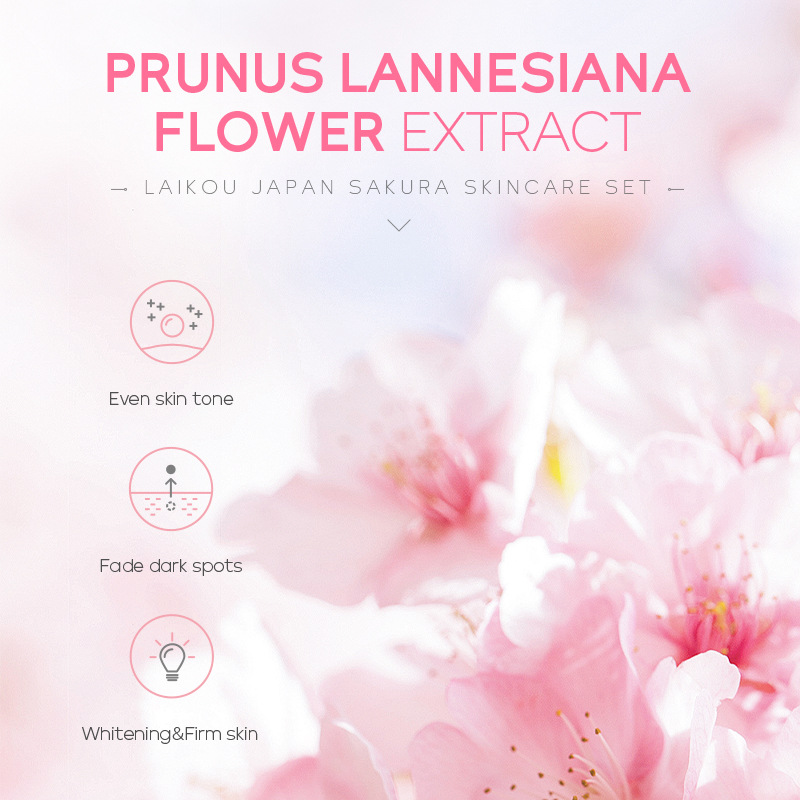 Moisturizing Face Cream Skin Care Kit Bright- Dent Store